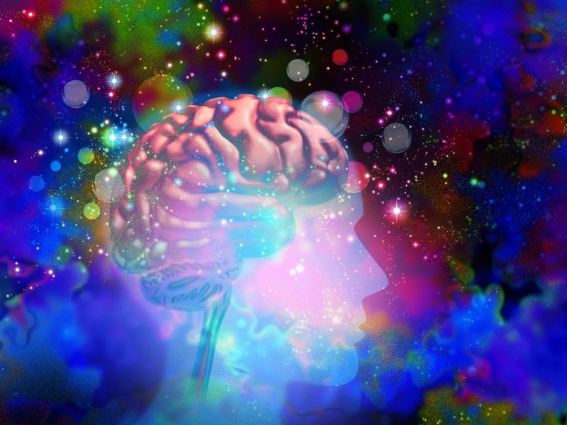 psychedelics and the brain